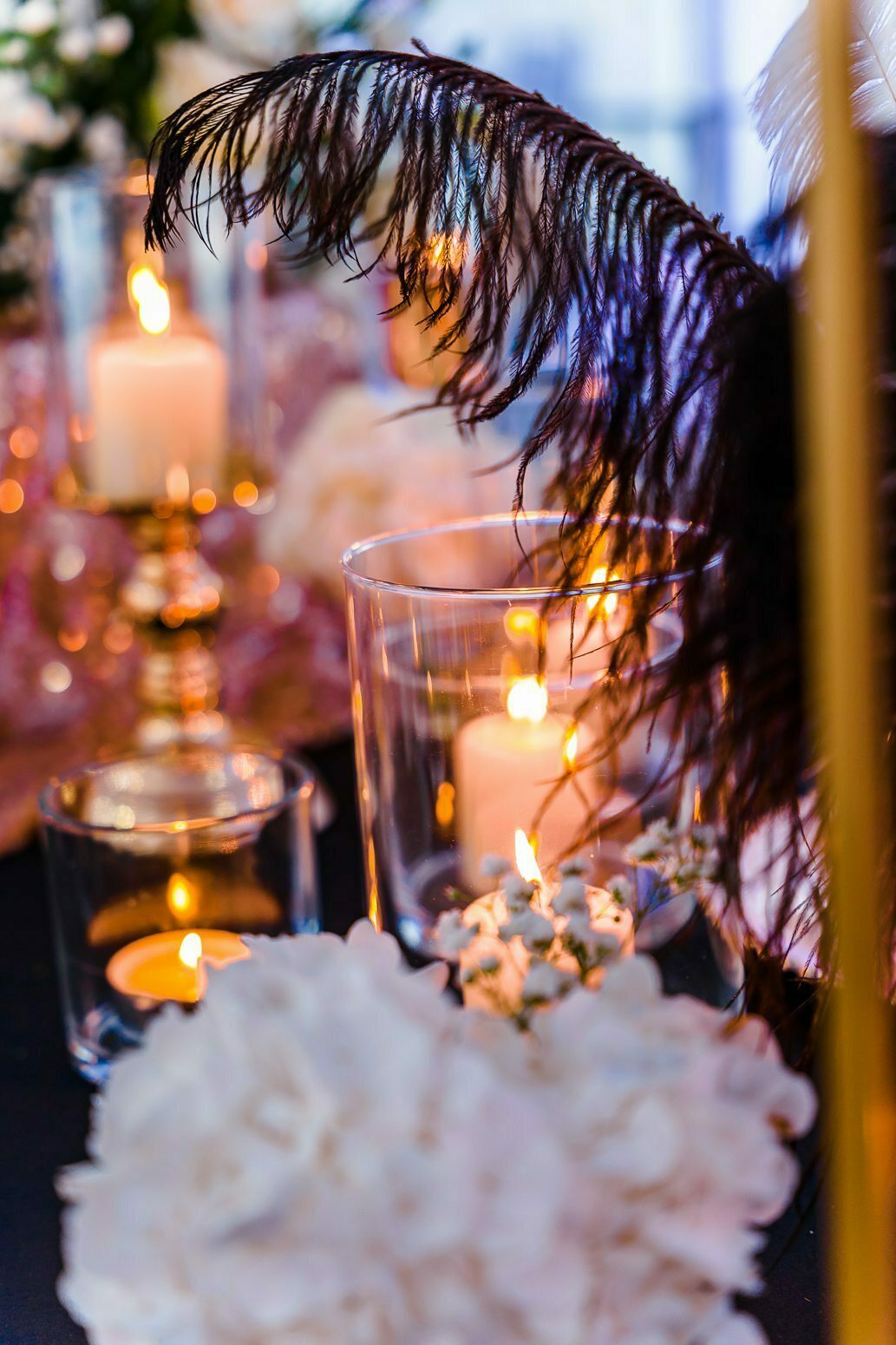 Photo by: Dawid Skura ( www.dawidskura.pl )